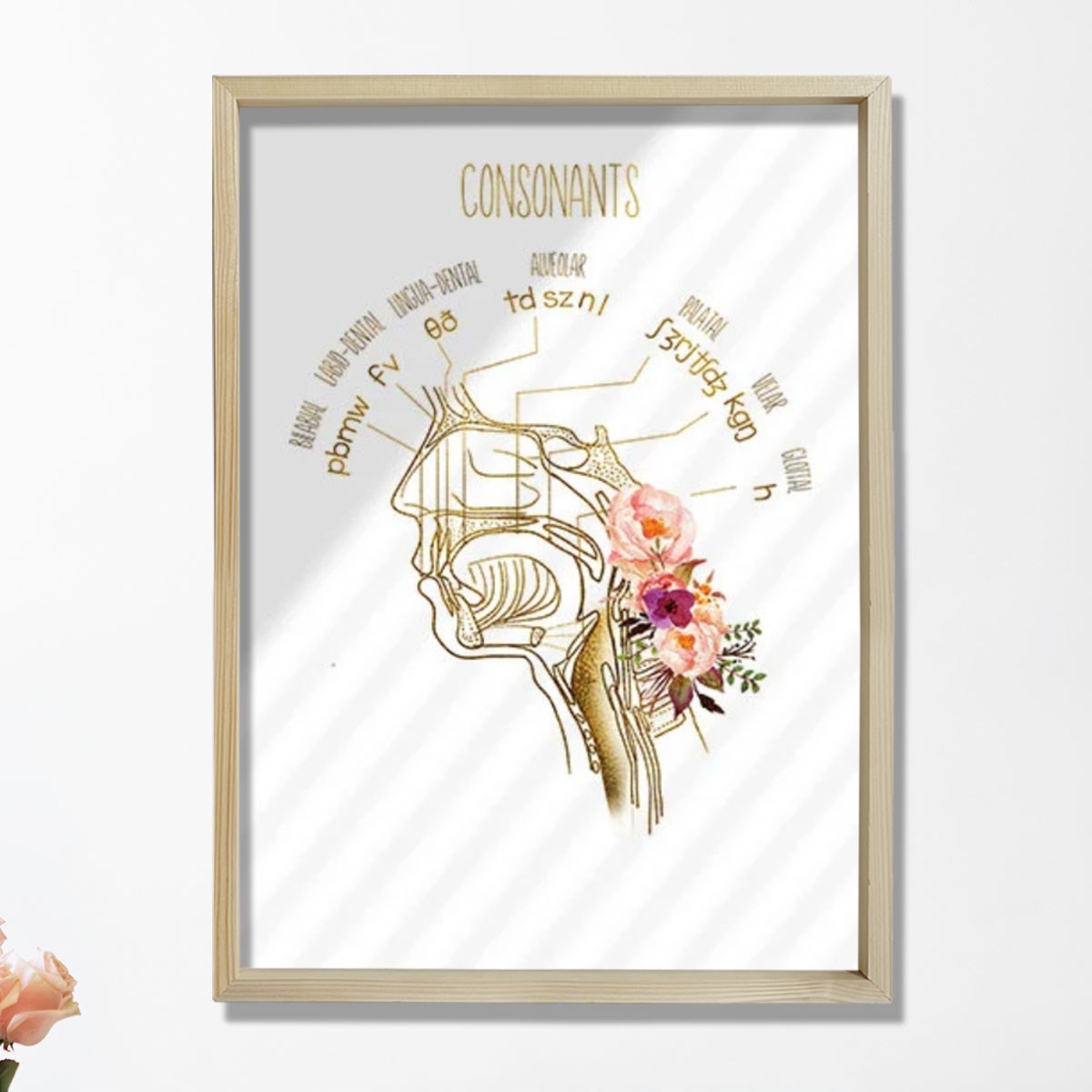 Konuşma Dili Patoloğu, Konuşma Terapisti Ofis Dekorasyonu