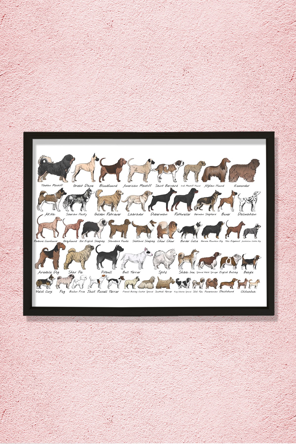 Köpek Irkları, Köpek Cinsi Koleksiyonu Doğal Ahşap Duvar Tablosu