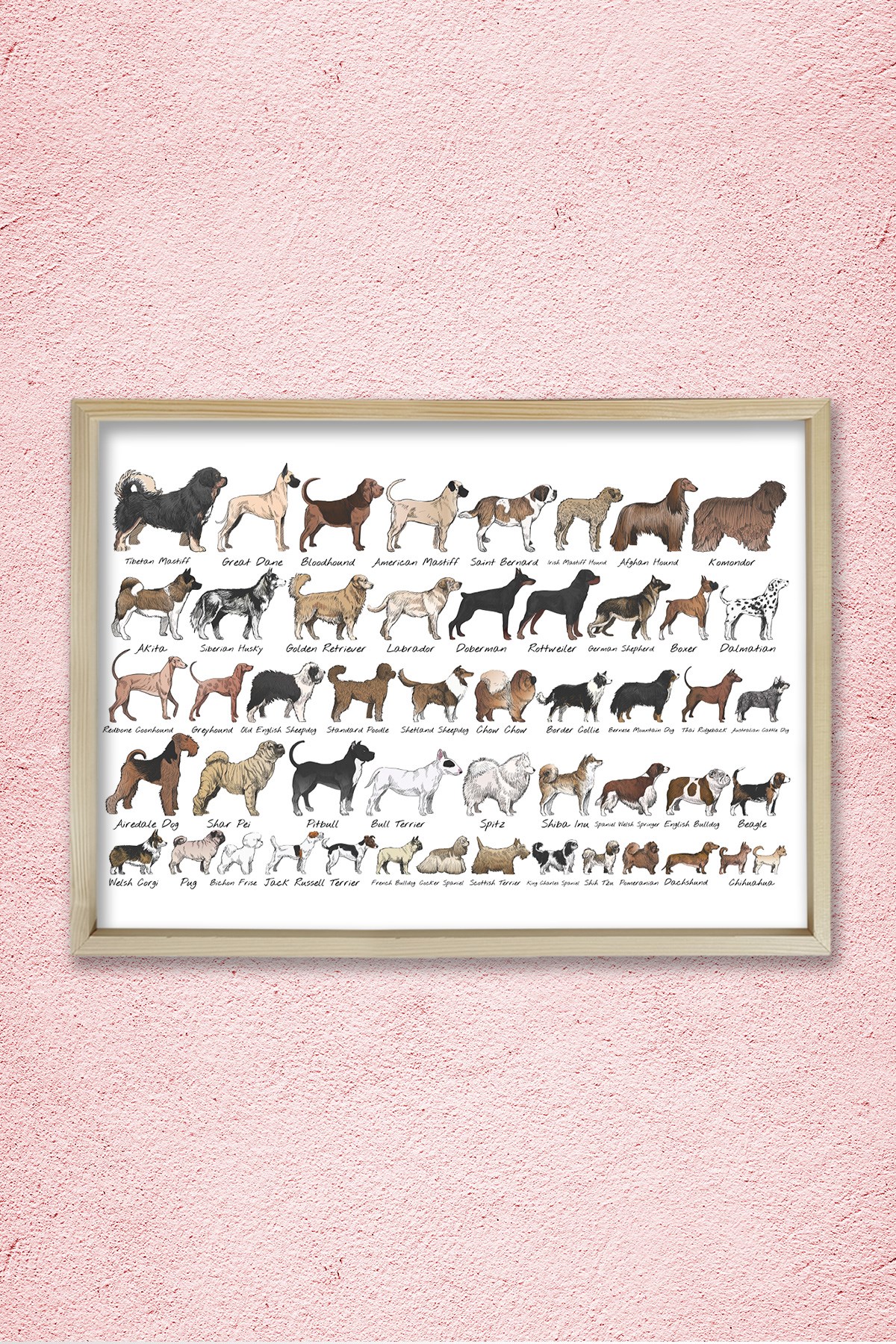 Köpek Irkları, Köpek Cinsi Koleksiyonu Doğal Ahşap Duvar Tablosu