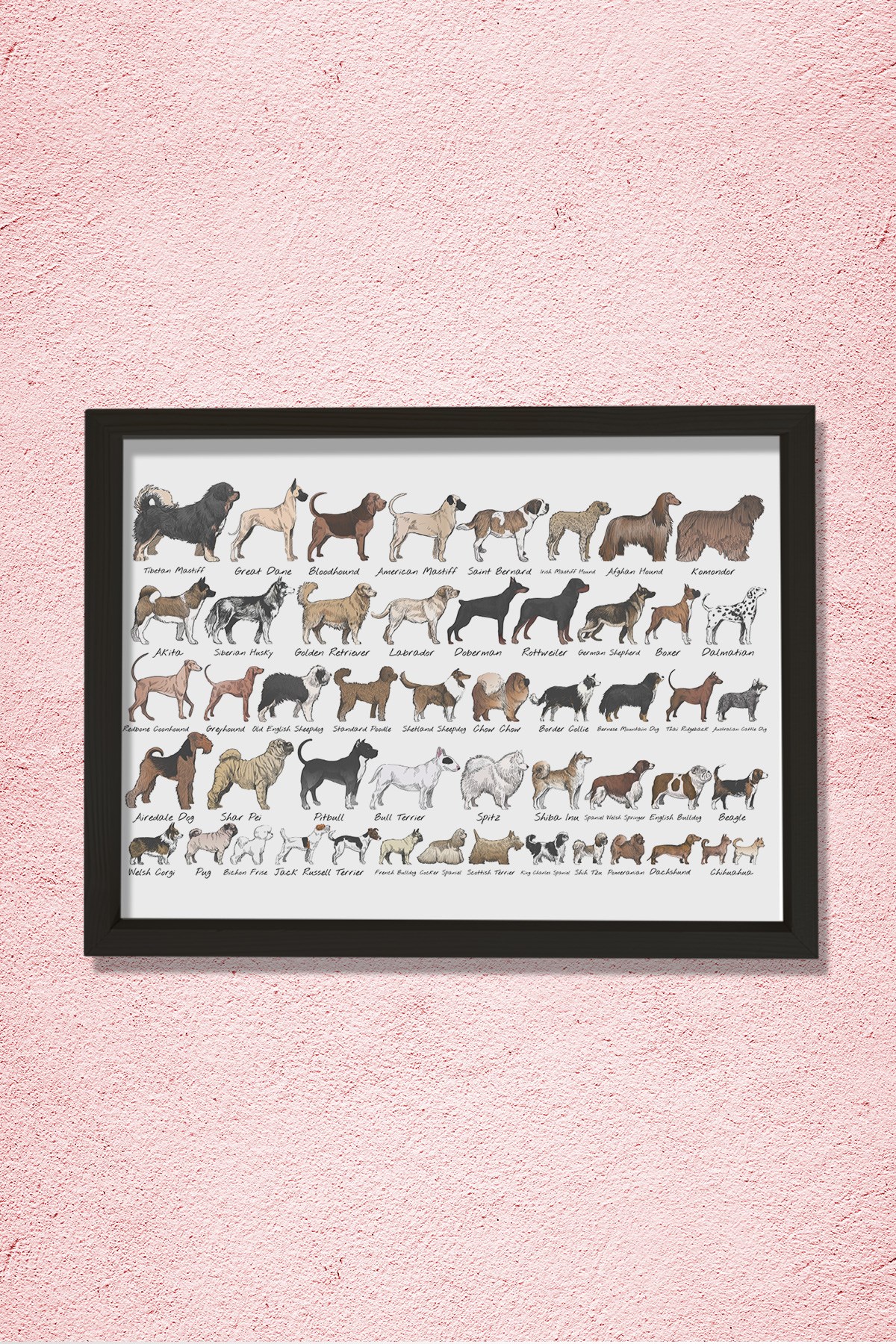 Köpek Irkları, Köpek Cinsi Koleksiyonu Doğal Ahşap Duvar Tablosu