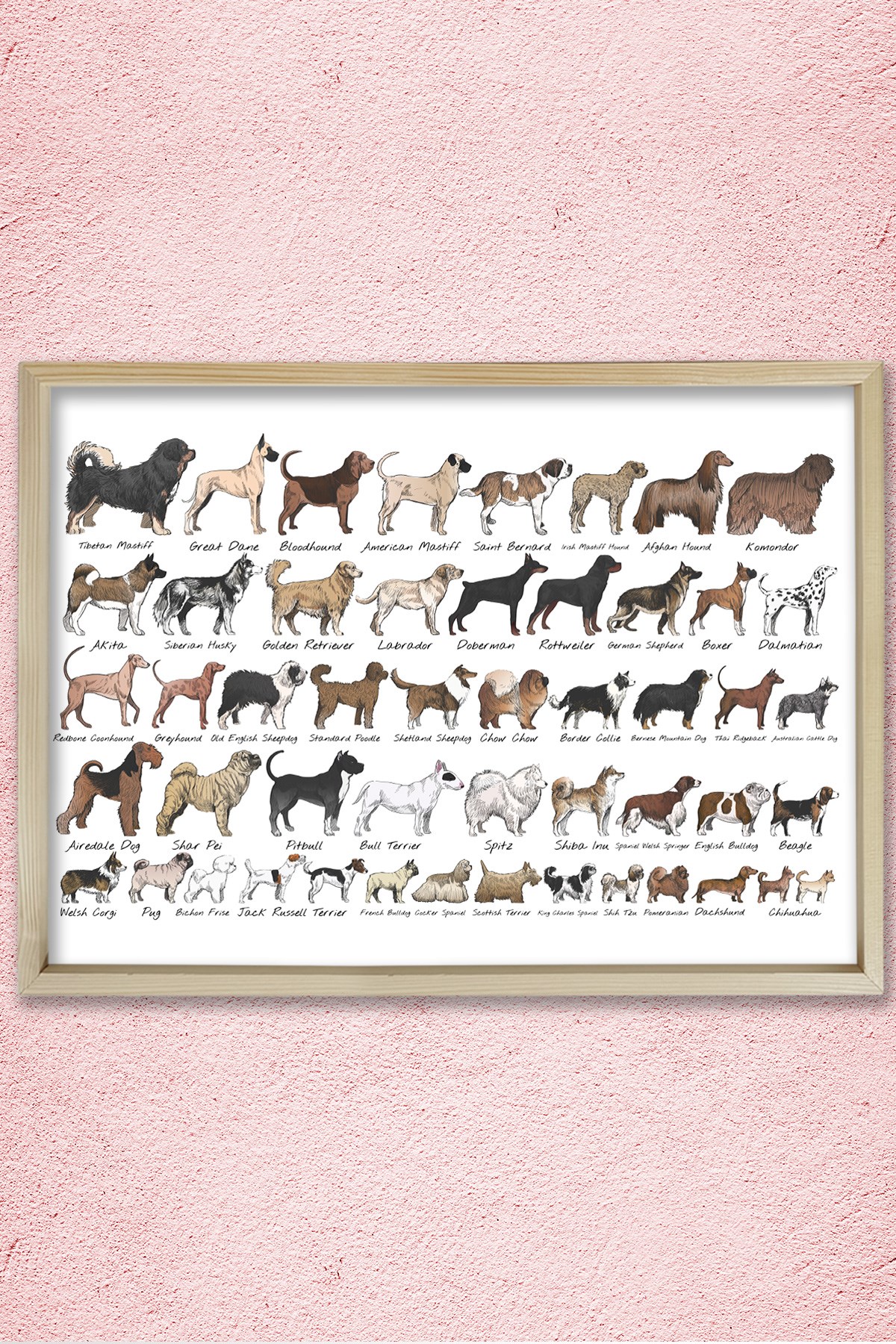 Köpek Irkları, Köpek Cinsi Koleksiyonu Doğal Ahşap Duvar Tablosu