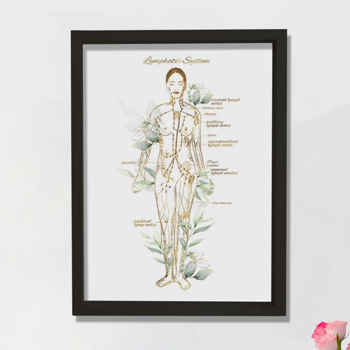 Lenfatik Sistem Sanatı, Endokrinoloji Dekoru, Lenf Düğümleri Anatomi Sanatı, Doktor Hediyesi