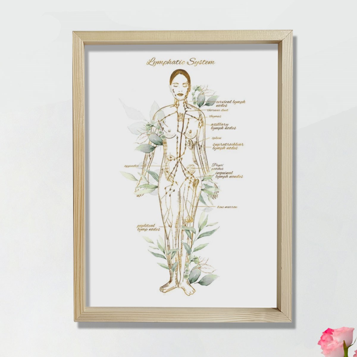 Lenfatik Sistem Sanatı, Endokrinoloji Dekoru, Lenf Düğümleri Anatomi Sanatı, Doktor Hediyesi
