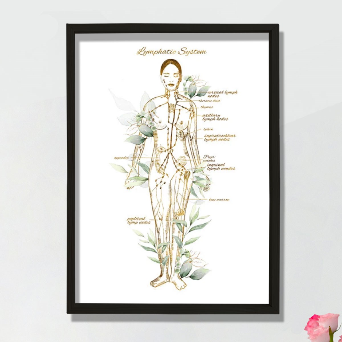 Lenfatik Sistem Sanatı, Endokrinoloji Dekoru, Lenf Düğümleri Anatomi Sanatı, Doktor Hediyesi