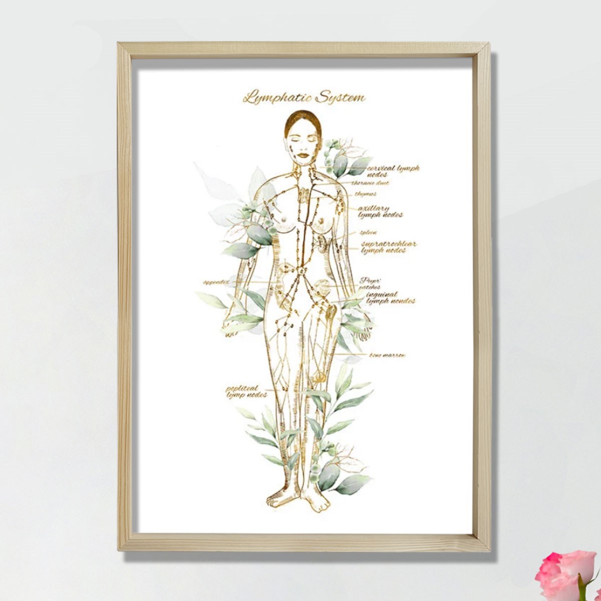 Lenfatik Sistem Sanatı, Endokrinoloji Dekoru, Lenf Düğümleri Anatomi Sanatı, Doktor Hediyesi