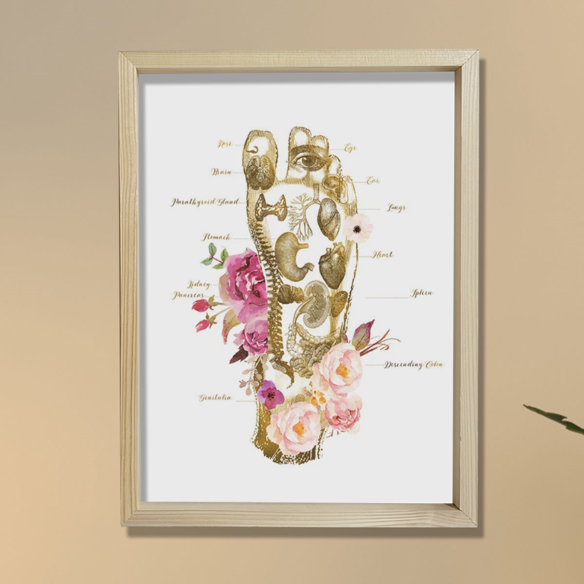 Masaj Terapisti Hediyesi, Ayak İzi, Refleksoloji Doktoru Ofis Tablosu