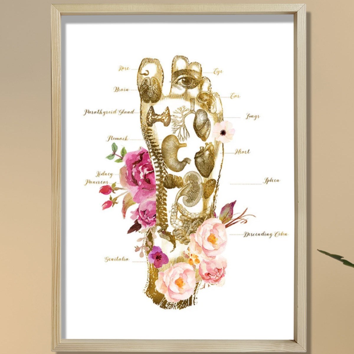 Masaj Terapisti Hediyesi, Ayak İzi, Refleksoloji Doktoru Ofis Tablosu