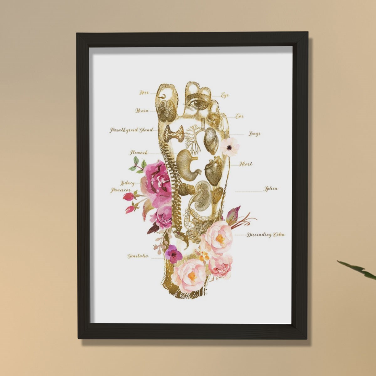 Masaj Terapisti Hediyesi, Ayak İzi, Refleksoloji Doktoru Ofis Tablosu