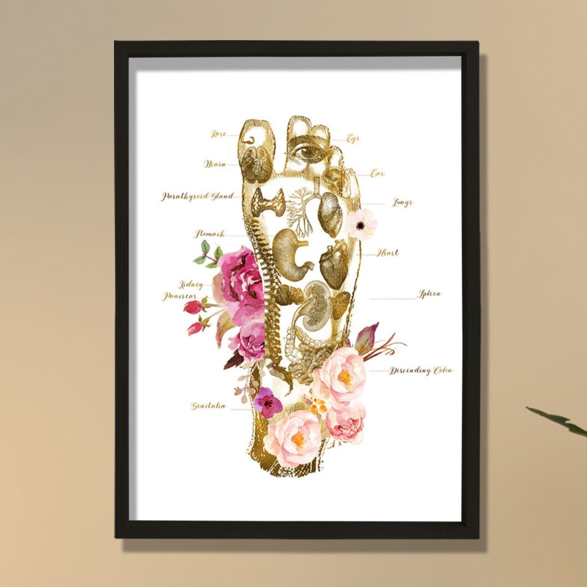 Masaj Terapisti Hediyesi, Ayak İzi, Refleksoloji Doktoru Ofis Tablosu