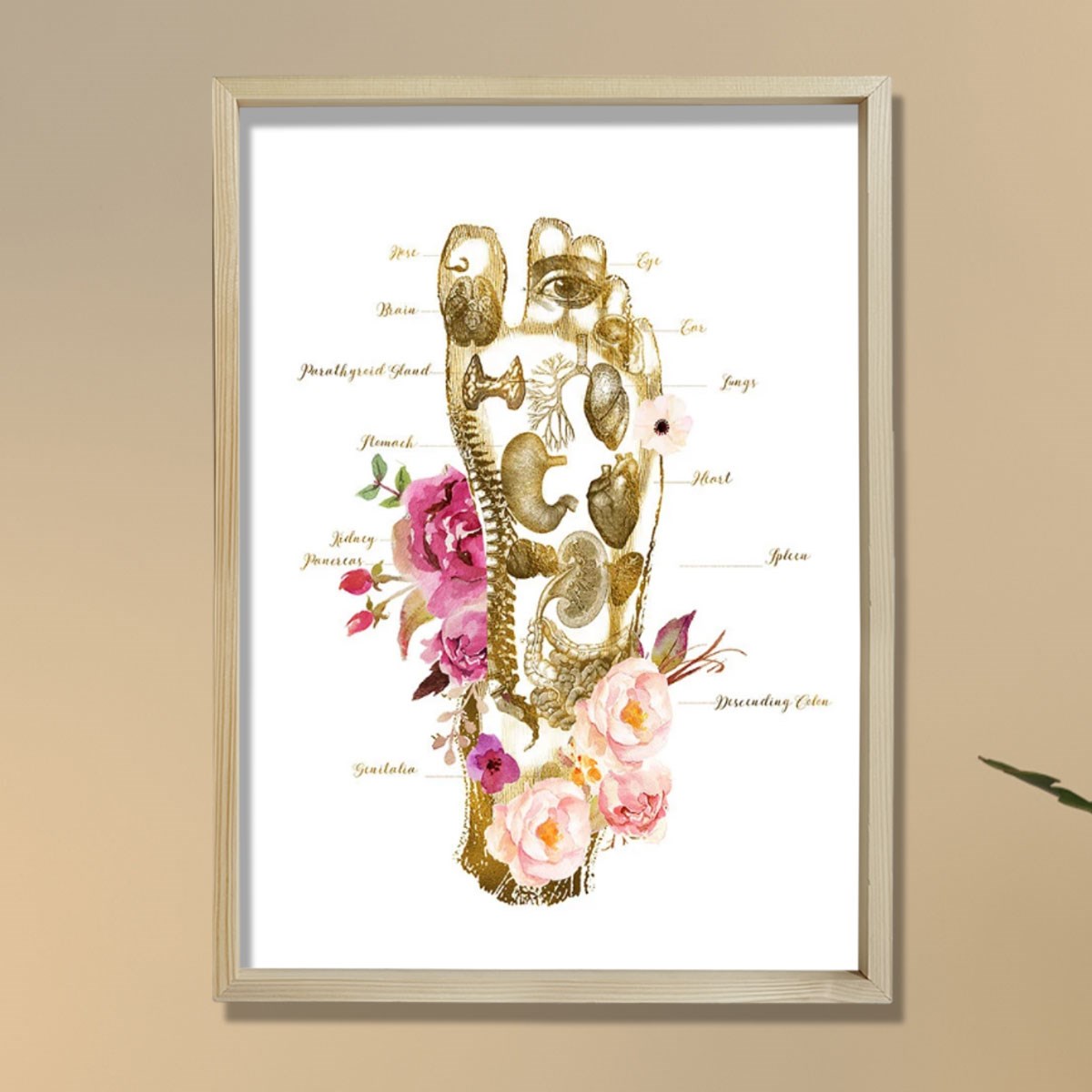 Masaj Terapisti Hediyesi, Ayak İzi, Refleksoloji Doktoru Ofis Tablosu