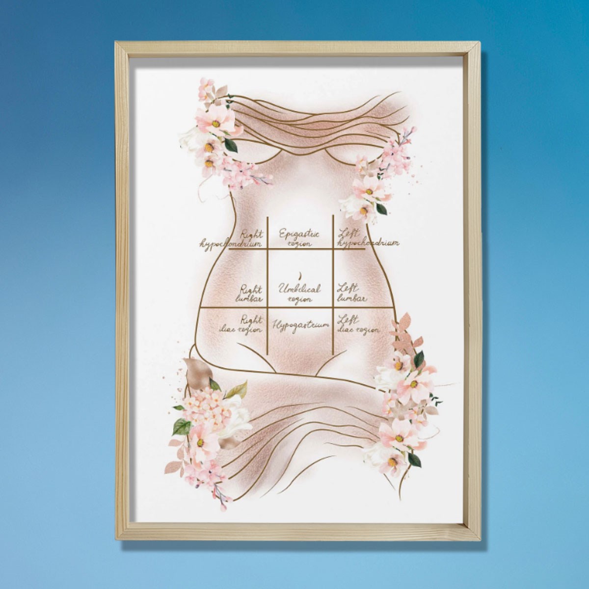 Mide Çeyrekleri Baskısı, Karın Germe, Plastik ve Estetik Cerrahı, Doktor Odası Duvar Tablosu