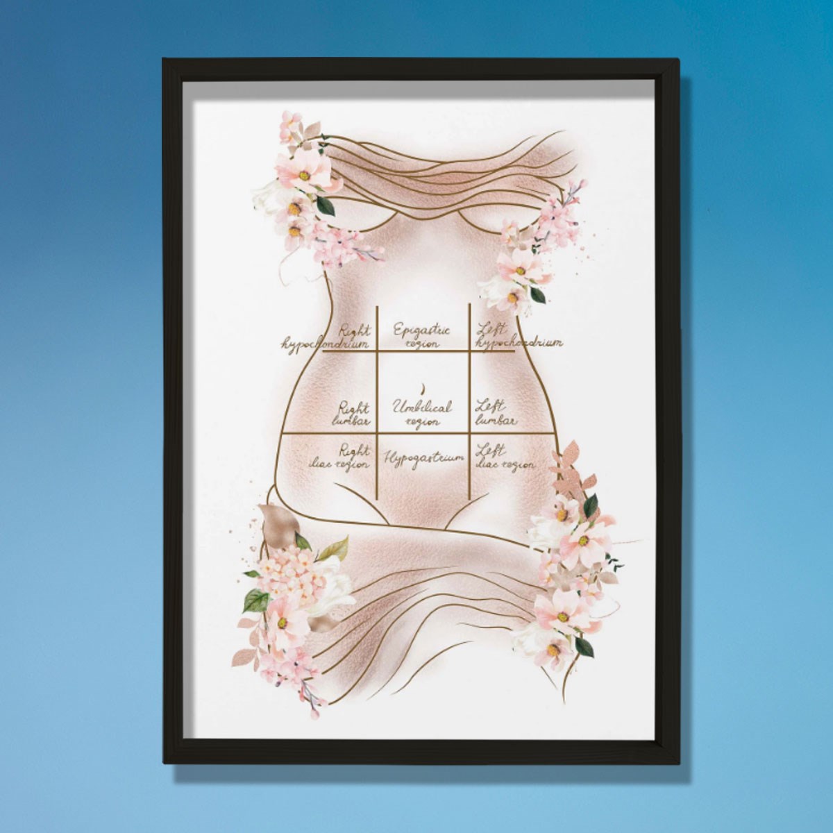 Mide Çeyrekleri Baskısı, Karın Germe, Plastik ve Estetik Cerrahı, Doktor Odası Duvar Tablosu