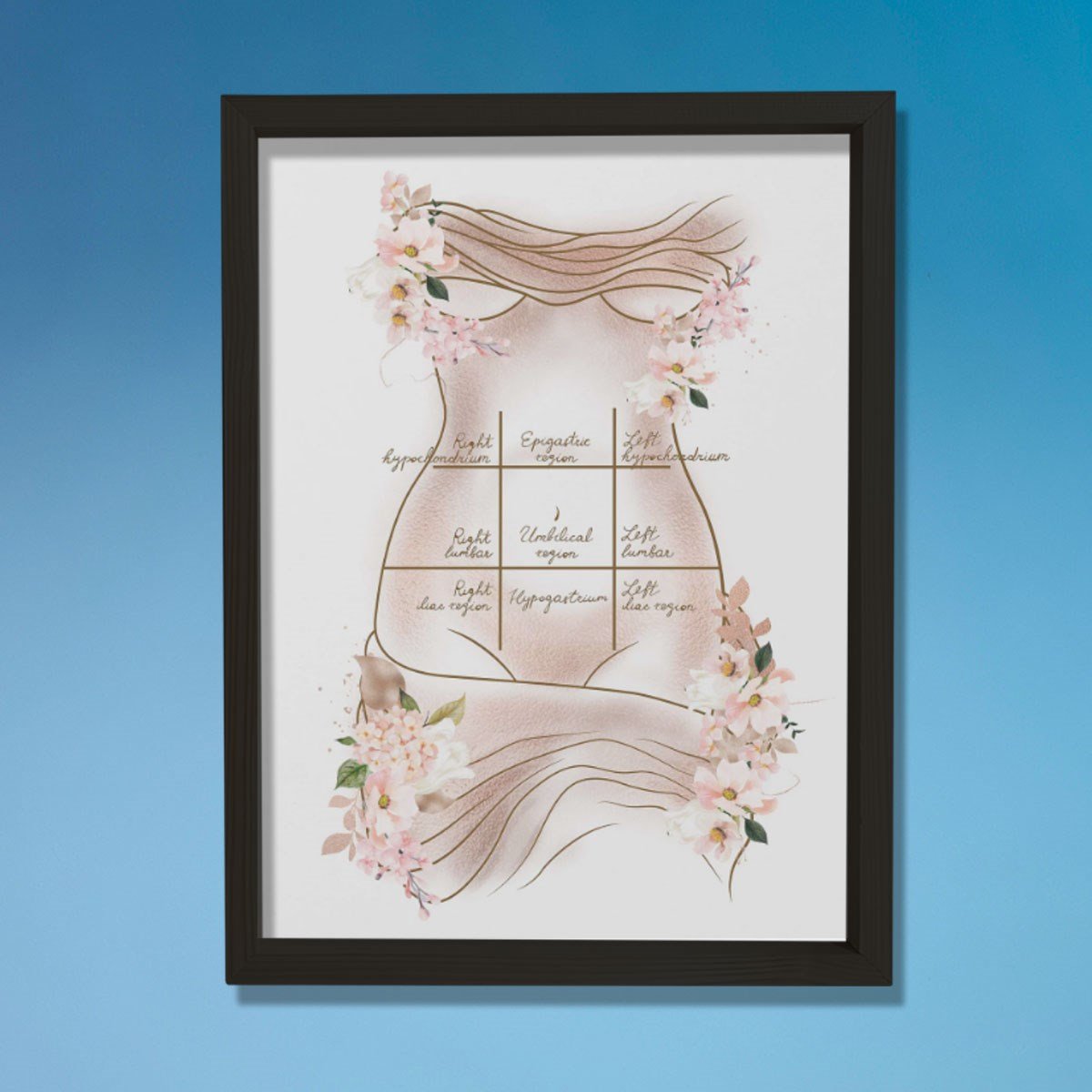 Mide Çeyrekleri Baskısı, Karın Germe, Plastik ve Estetik Cerrahı, Doktor Odası Duvar Tablosu