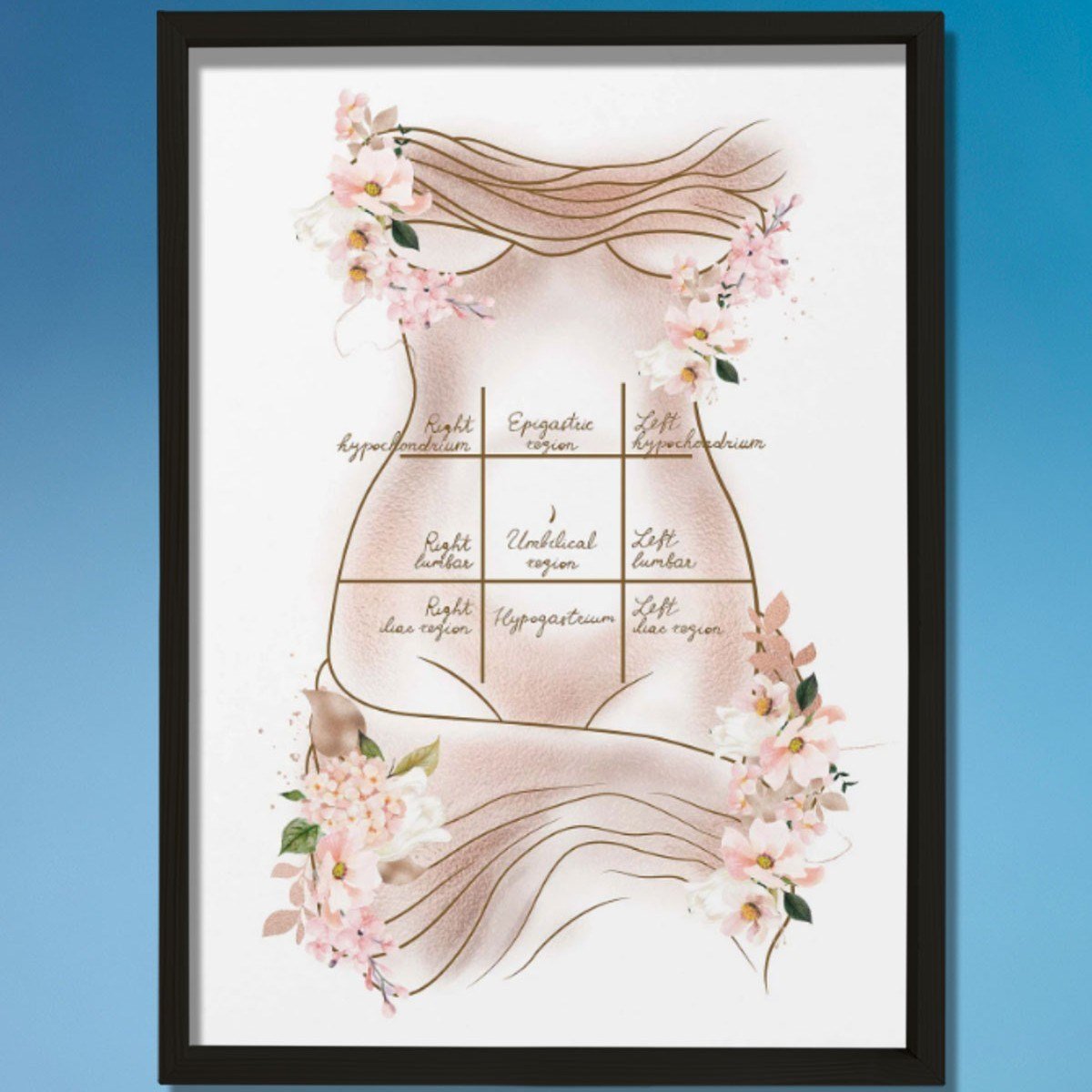 Mide Çeyrekleri Baskısı, Karın Germe, Plastik ve Estetik Cerrahı, Doktor Odası Duvar Tablosu