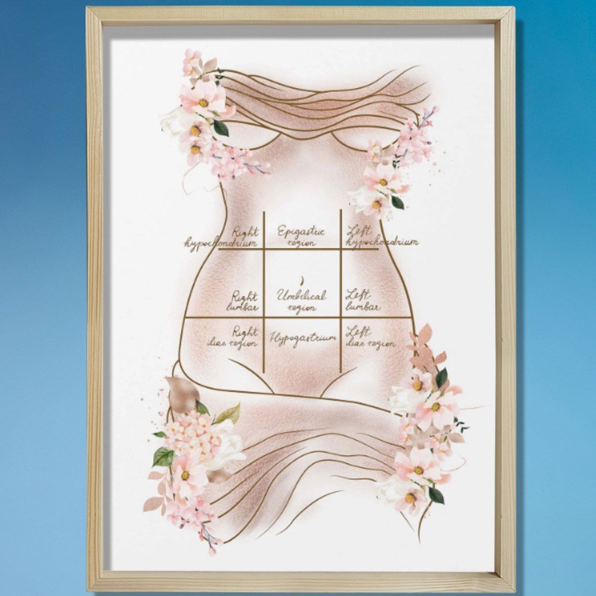 Mide Çeyrekleri Baskısı, Karın Germe, Plastik ve Estetik Cerrahı, Doktor Odası Duvar Tablosu