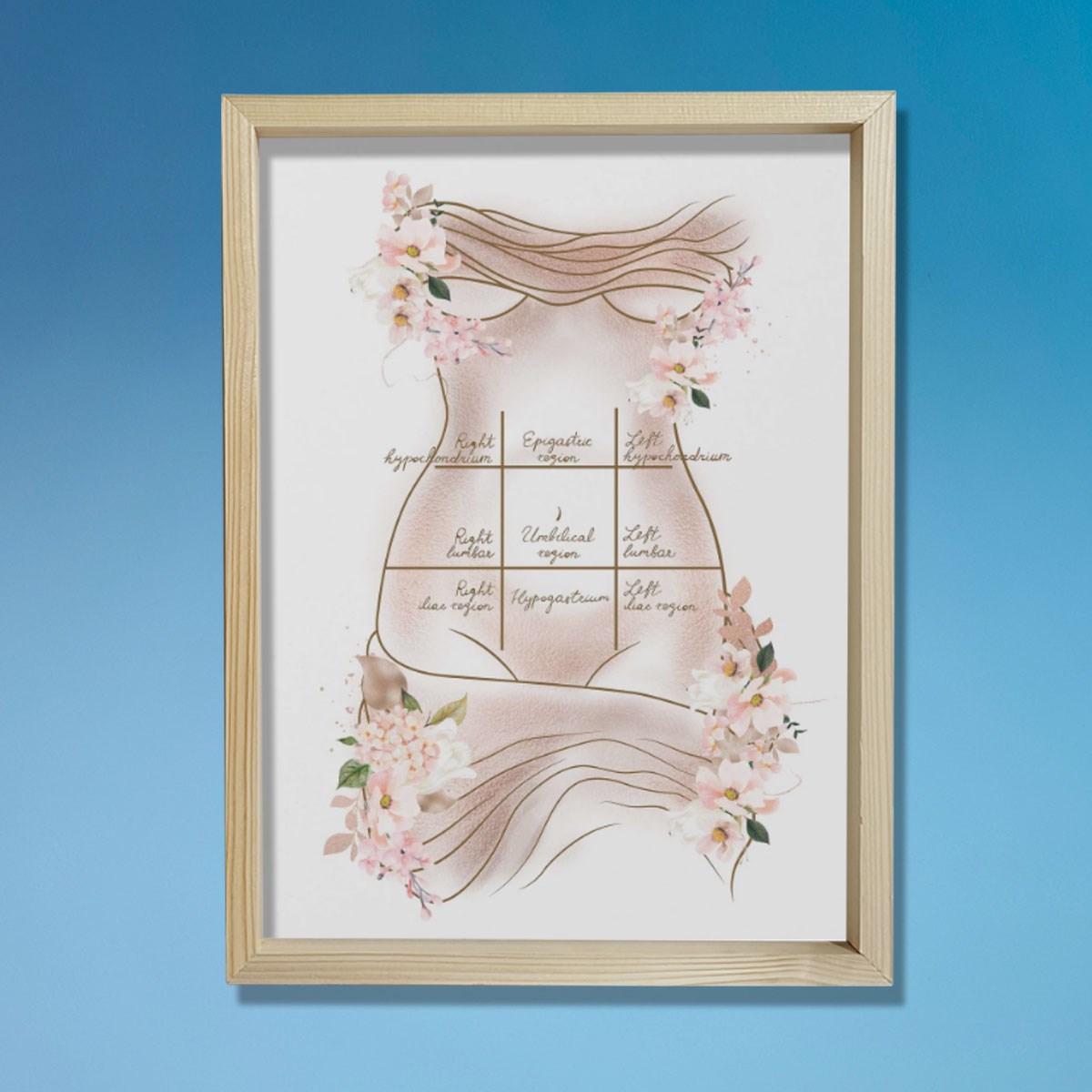 Mide Çeyrekleri Baskısı, Karın Germe, Plastik ve Estetik Cerrahı, Doktor Odası Duvar Tablosu