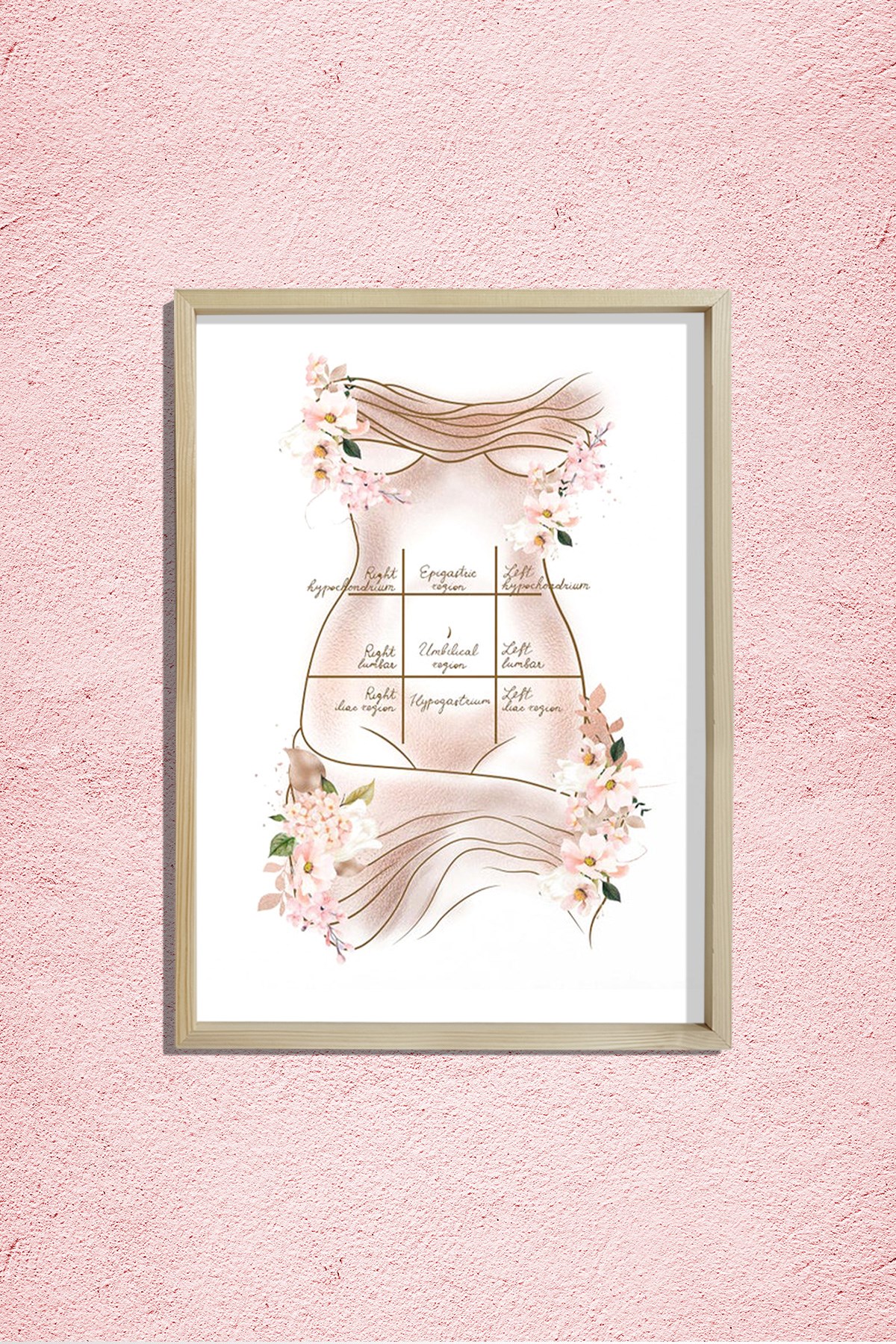 Mide Çeyrekleri, Göbek, Karın Germe, Liposuction, Plastik ve Estetik Cerrahı, Doktor Odası Duvar Tablosu