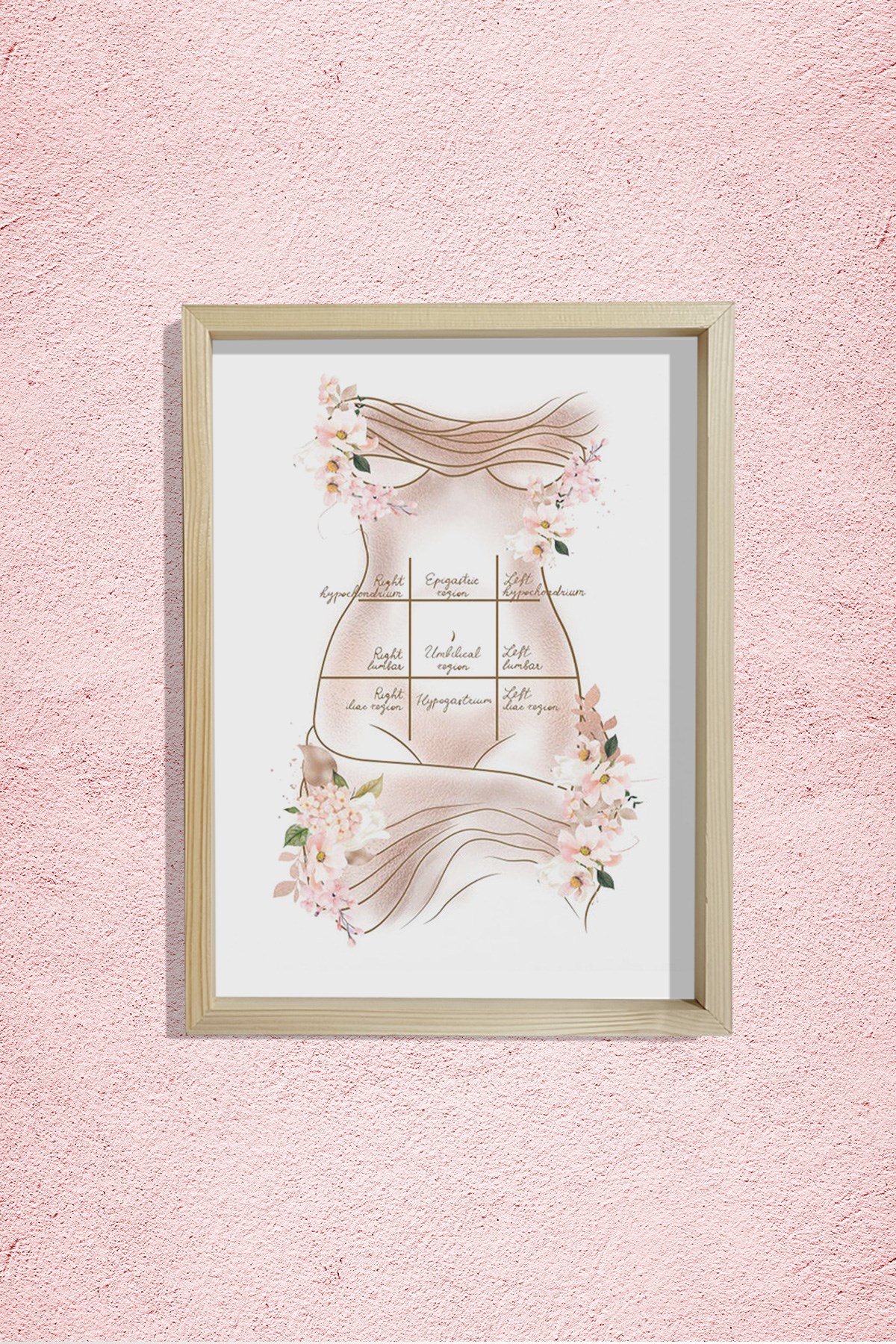 Mide Çeyrekleri, Göbek, Karın Germe, Liposuction, Plastik ve Estetik Cerrahı, Doktor Odası Duvar Tablosu