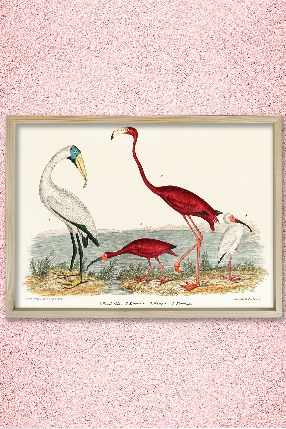 Nostaljik Flamingo 1843 Doğal Ahşap Duvar Tablosu