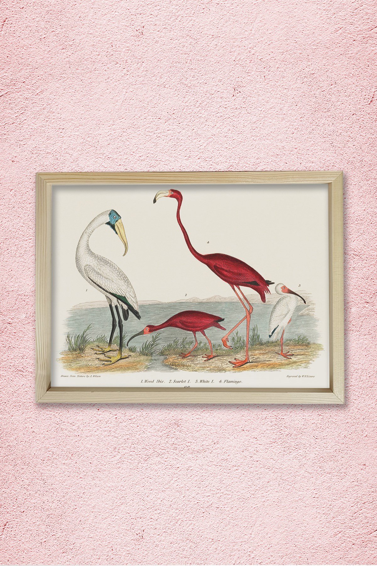 Nostaljik Flamingo 1843 Doğal Ahşap Duvar Tablosu