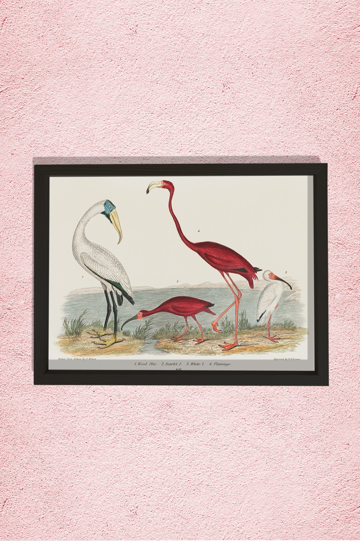 Nostaljik Flamingo 1843 Doğal Ahşap Duvar Tablosu