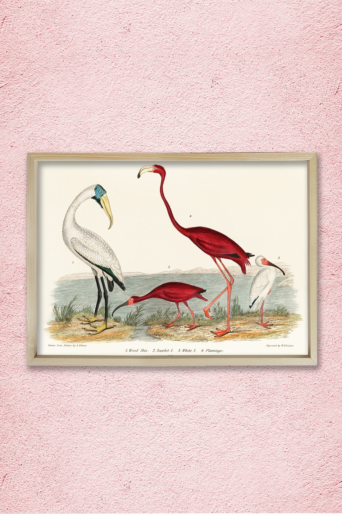 Nostaljik Flamingo 1843 Doğal Ahşap Duvar Tablosu