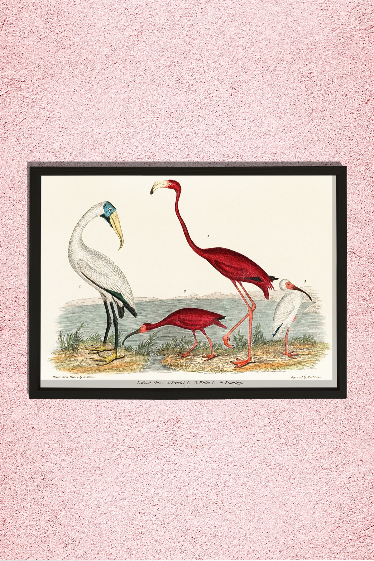 Nostaljik Flamingo 1843 Doğal Ahşap Duvar Tablosu