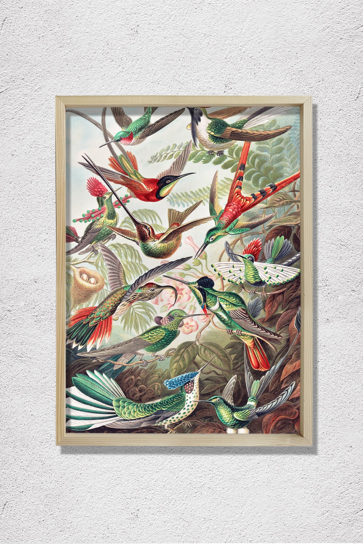 Nostaljik Kuşlar 1904 Doğal Ahşap Duvar Tablosu