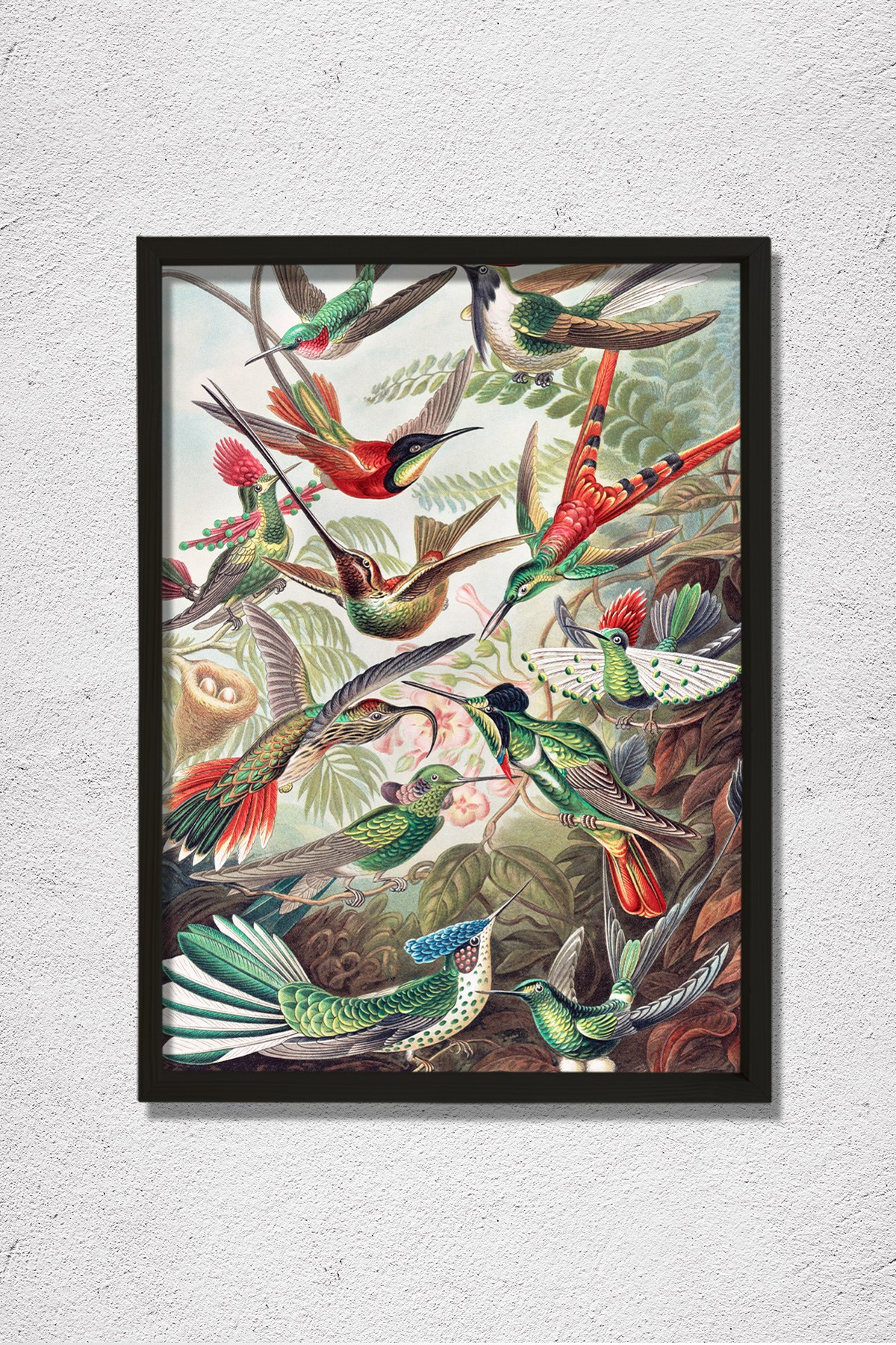 Nostaljik Kuşlar 1904 Doğal Ahşap Duvar Tablosu