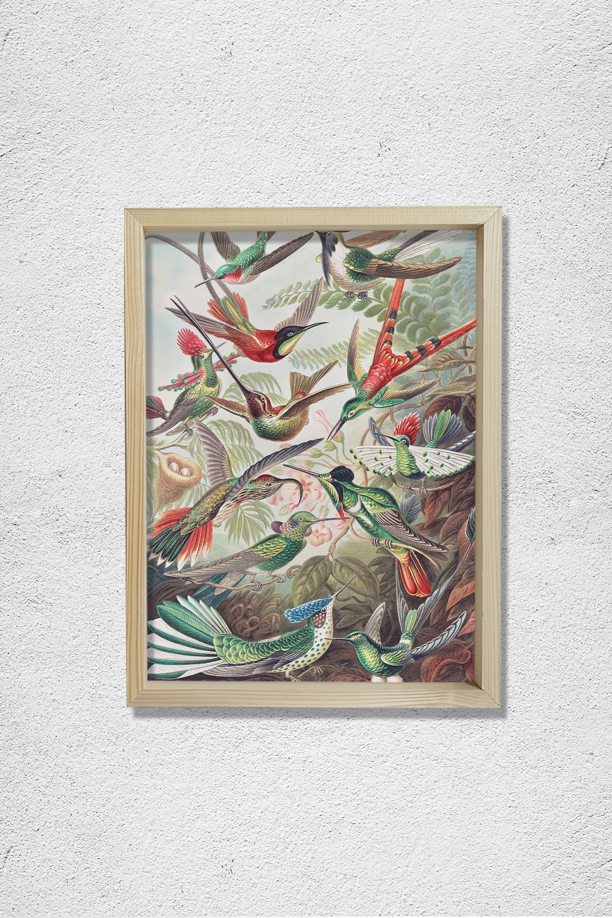 Nostaljik Kuşlar 1904 Doğal Ahşap Duvar Tablosu