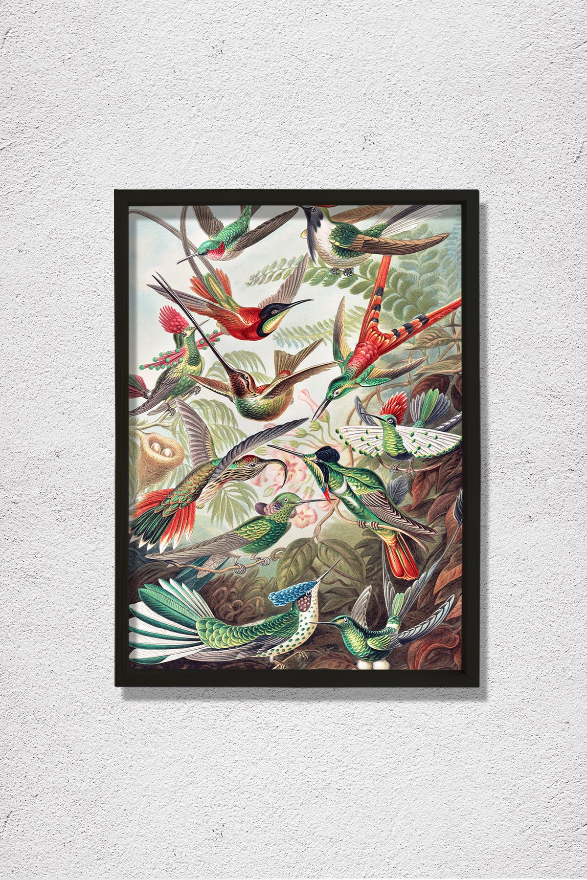 Nostaljik Kuşlar 1904 Doğal Ahşap Duvar Tablosu