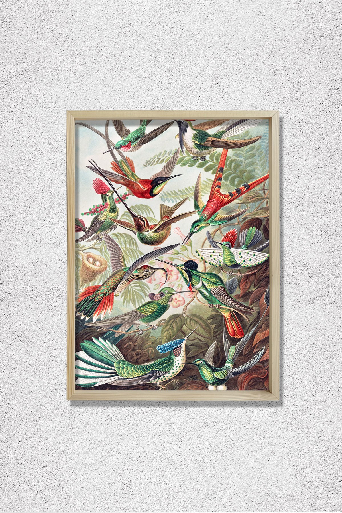 Nostaljik Kuşlar 1904 Doğal Ahşap Duvar Tablosu