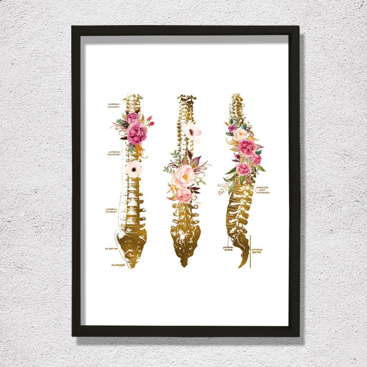 Omurga Sanatsal Baskı, Ortopedik Doktor Hediye, Fizyoterapist Ofis Dekoru