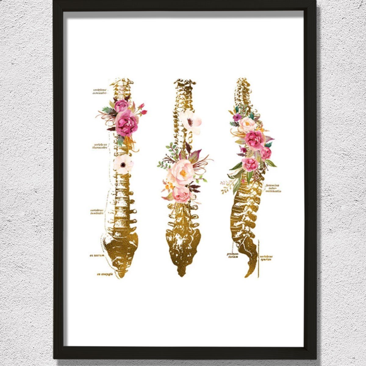 Omurga Sanatsal Baskı, Ortopedik Doktor Hediye, Fizyoterapist Ofis Dekoru