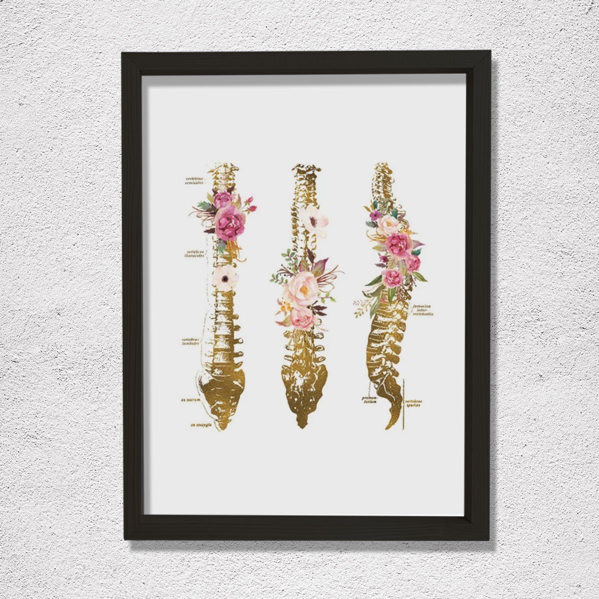 Omurga Sanatsal Baskı, Ortopedik Doktor Hediye, Fizyoterapist Ofis Dekoru