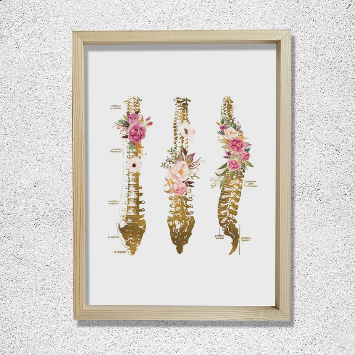 Omurga Sanatsal Baskı, Ortopedik Doktor Hediye, Fizyoterapist Ofis Dekoru