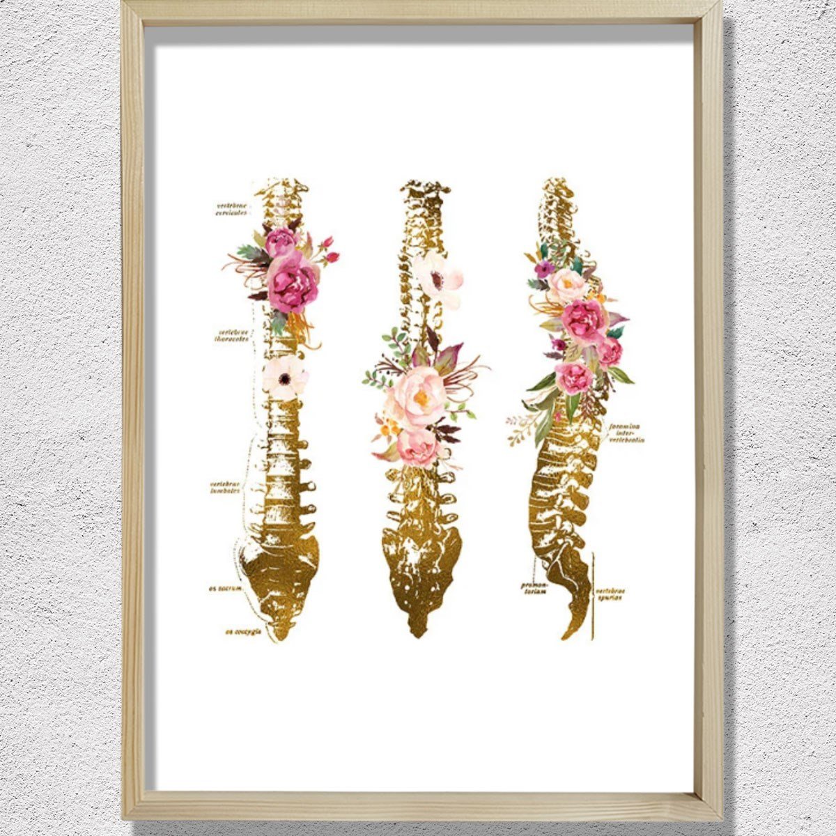 Omurga Sanatsal Baskı, Ortopedik Doktor Hediye, Fizyoterapist Ofis Dekoru