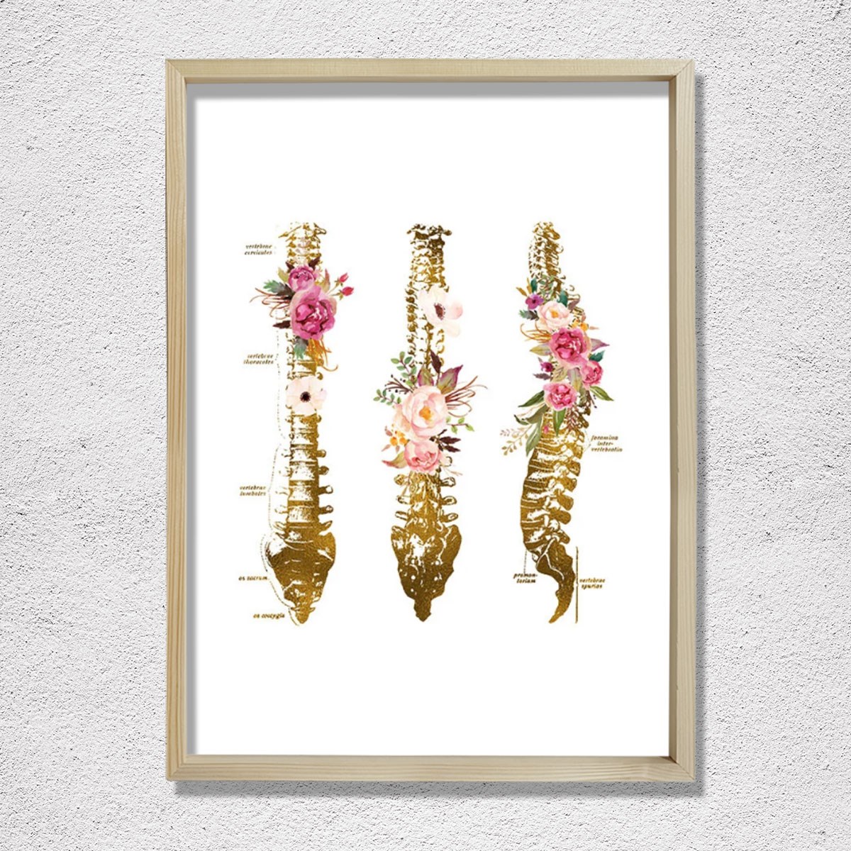 Omurga Sanatsal Baskı, Ortopedik Doktor Hediye, Fizyoterapist Ofis Dekoru