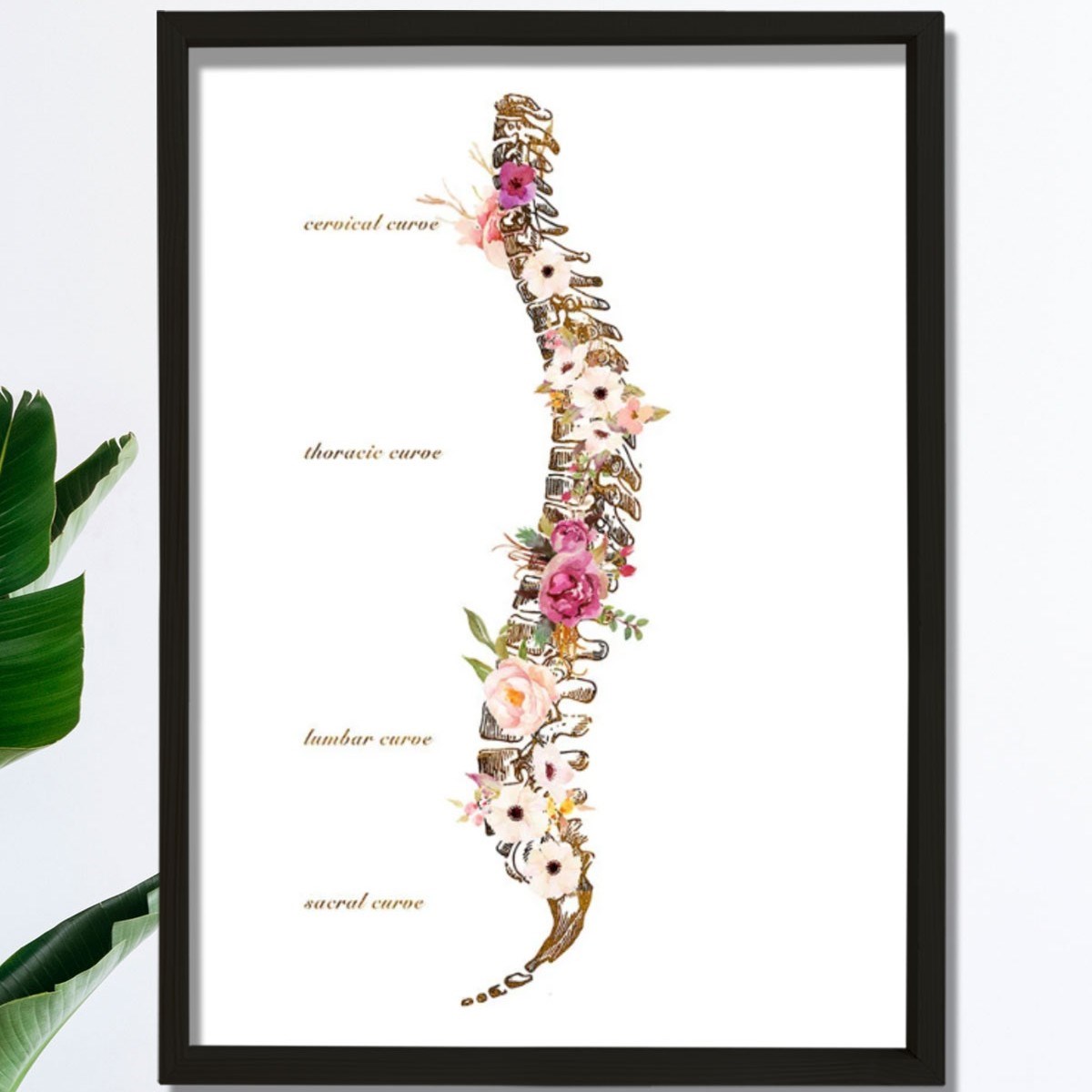 Omurilik Anatomisi Sanatı Vertebral Sütun Baskısı, Kayropraktik Ofis Dekoru