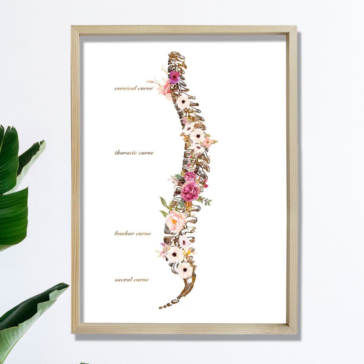 Omurilik Anatomisi Sanatı Vertebral Sütun Baskısı, Kayropraktik Ofis Dekoru