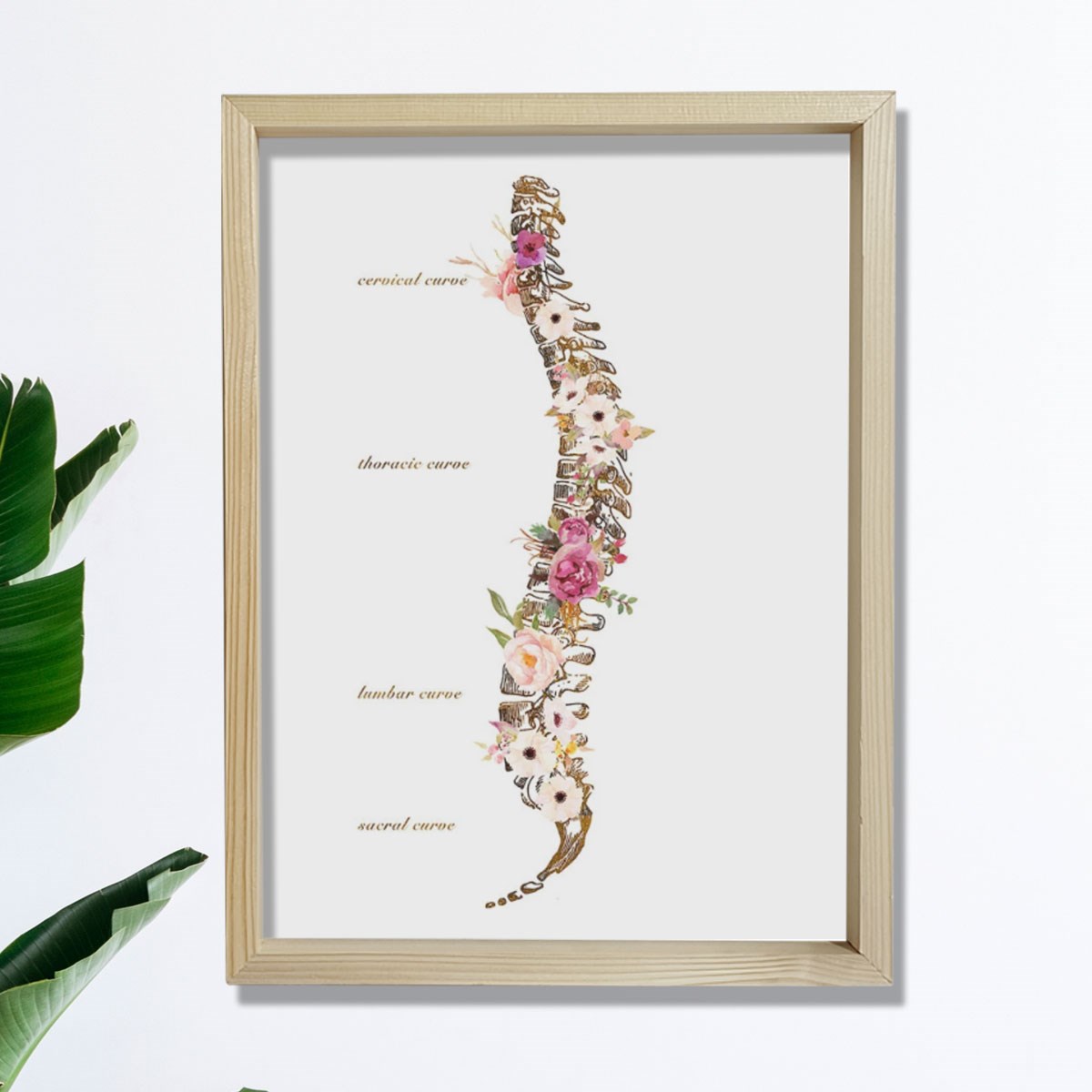 Omurilik Anatomisi Sanatı Vertebral Sütun Baskısı, Kayropraktik Ofis Dekoru