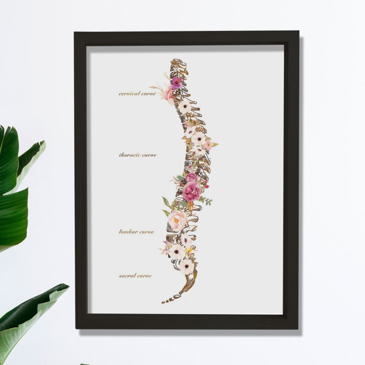 Omurilik Anatomisi Sanatı Vertebral Sütun Baskısı, Kayropraktik Ofis Dekoru