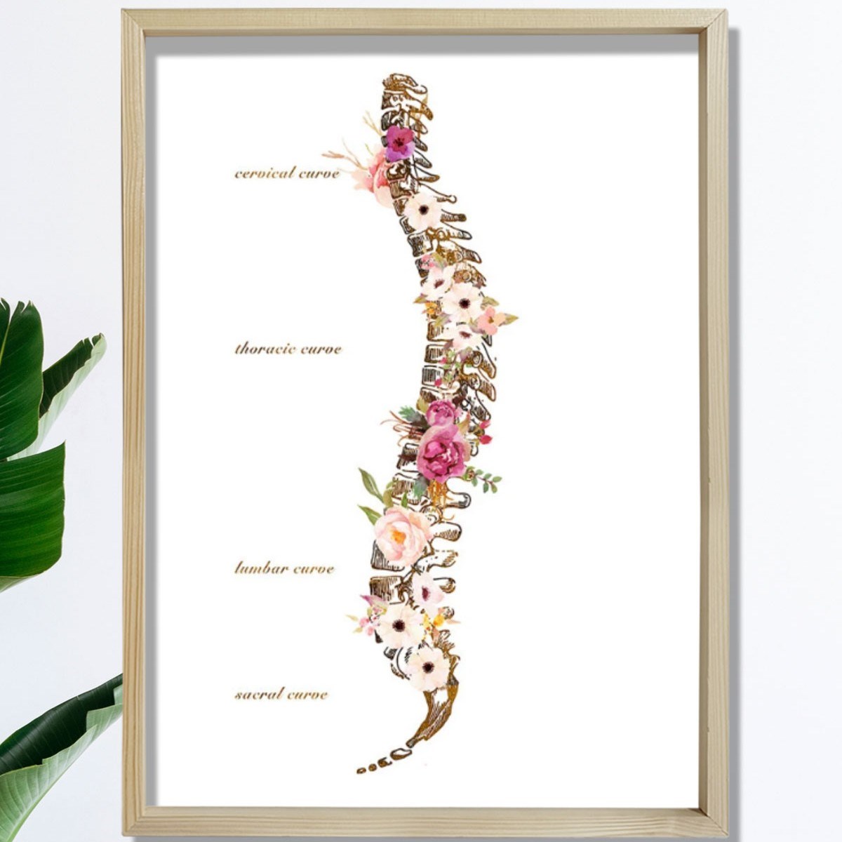 Omurilik Anatomisi Sanatı Vertebral Sütun Baskısı, Kayropraktik Ofis Dekoru