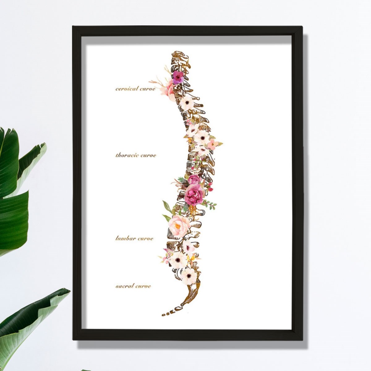 Omurilik Anatomisi Sanatı Vertebral Sütun Baskısı, Kayropraktik Ofis Dekoru