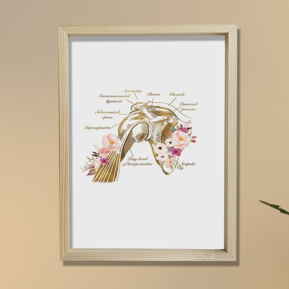 Omuz Anatomisi Baskısı, Fizyoterapist Hediyesi, Omuz Anatomisi Baskısı, Fizyoterapist Hediyesi,