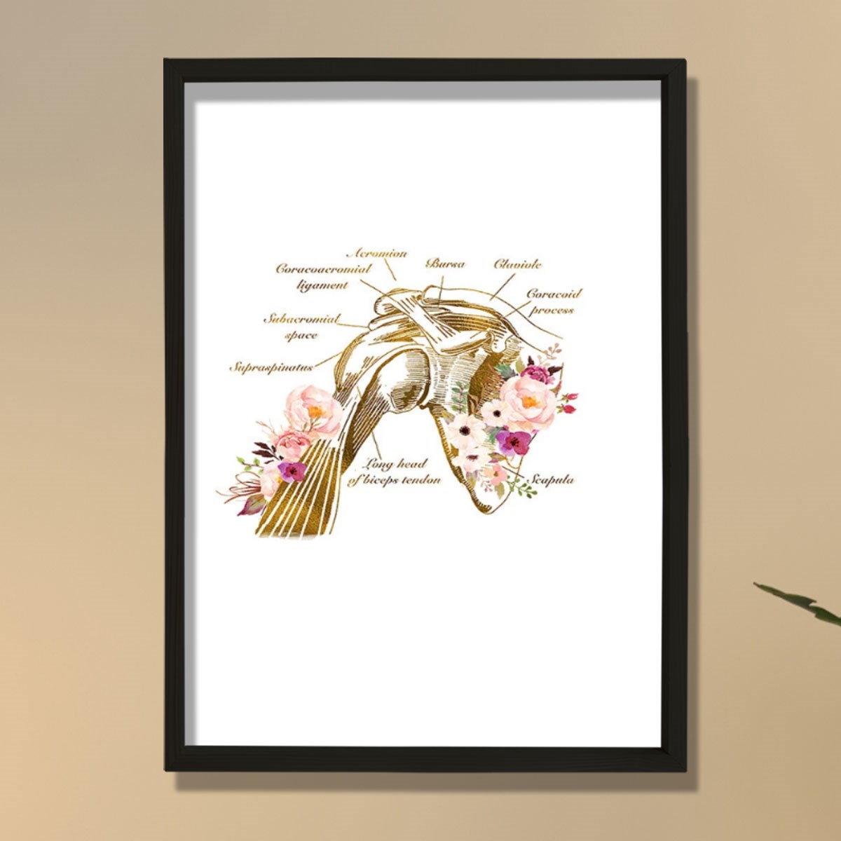 Omuz Anatomisi Baskısı, Fizyoterapist Hediyesi, Omuz Anatomisi Baskısı, Fizyoterapist Hediyesi,