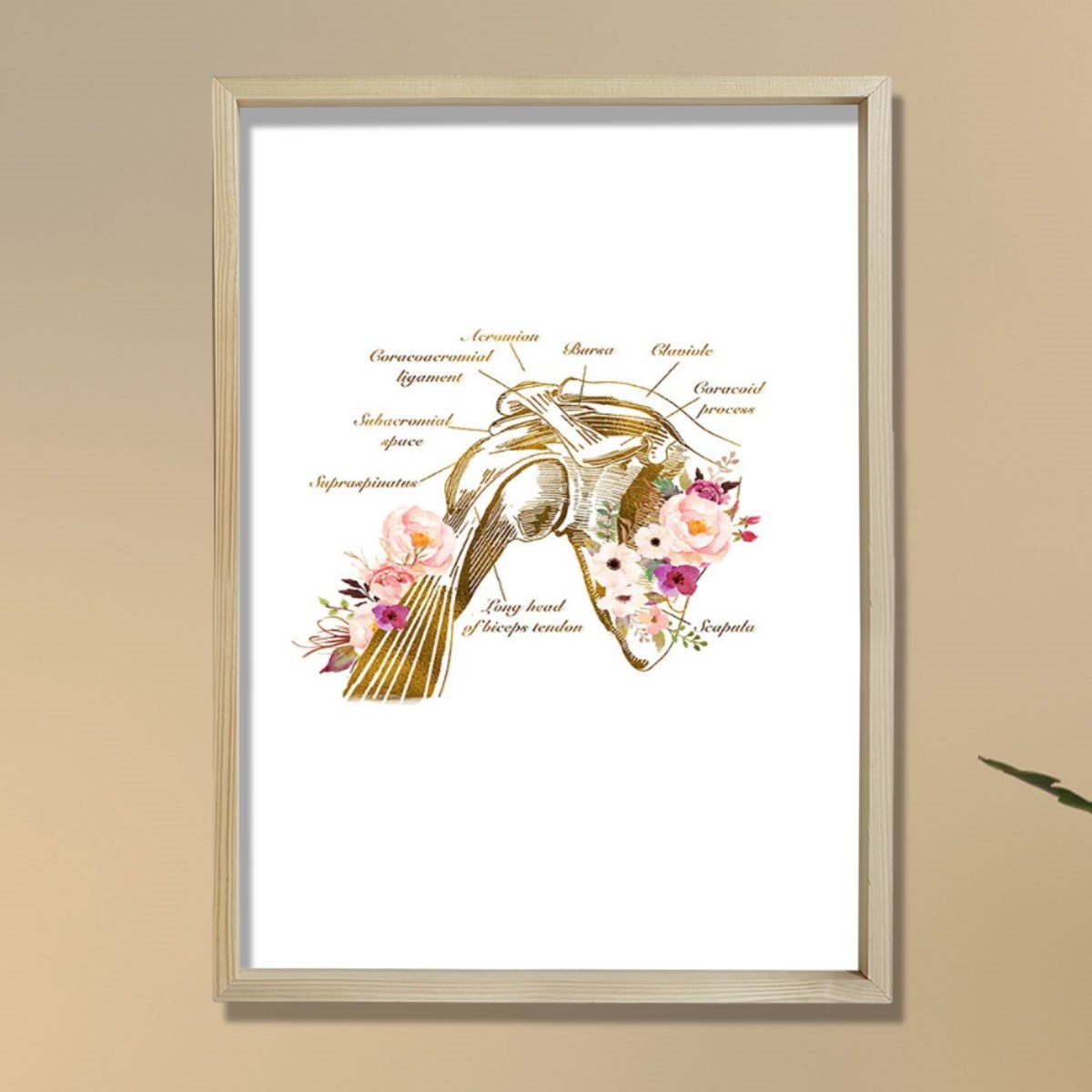 Omuz Anatomisi Baskısı, Fizyoterapist Hediyesi, Omuz Anatomisi Baskısı, Fizyoterapist Hediyesi,