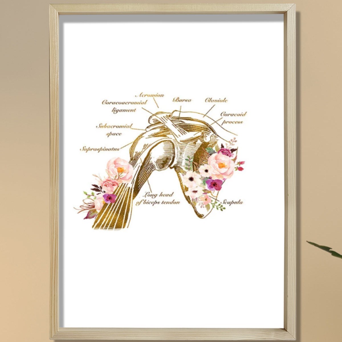Omuz Anatomisi Baskısı, Fizyoterapist Hediyesi, Omuz Anatomisi Baskısı, Fizyoterapist Hediyesi,