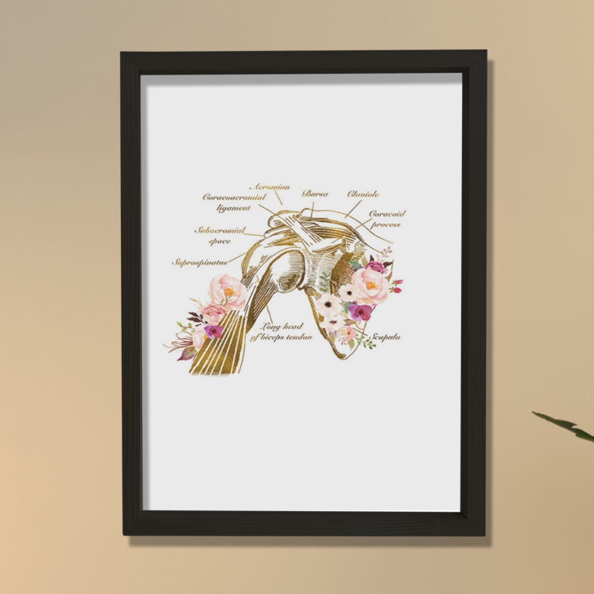 Omuz Anatomisi Baskısı, Fizyoterapist Hediyesi, Omuz Anatomisi Baskısı, Fizyoterapist Hediyesi,