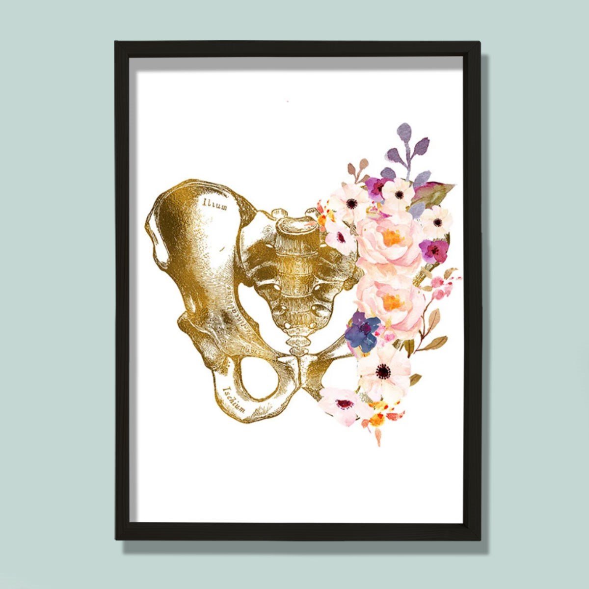 Pelvis Sanatı, Anatomik Baskı, Medikal Anatomi Sanatı Doktor Odası Duvar Tablosu